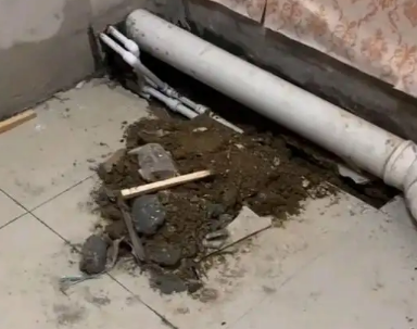 邵东卫生间漏水检测哪家好