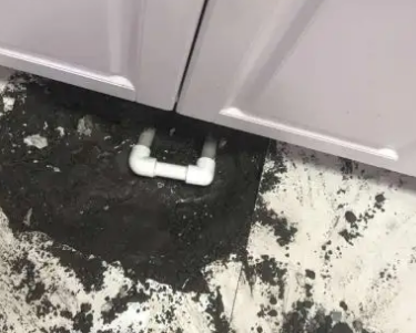 邵东查漏水哪家好