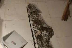 邵东卫生间漏水检测电话